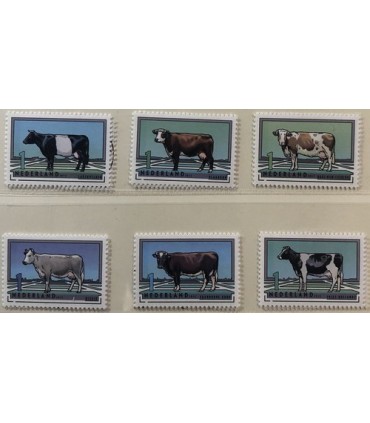 2973 - 2978 Rundveerassen (xx) los