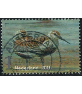3405 Griend Strandloper (o)