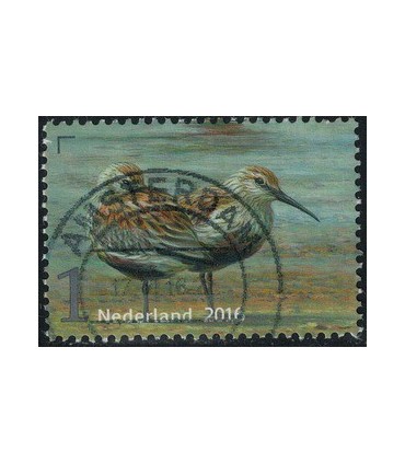 3405 Griend Strandloper (o)