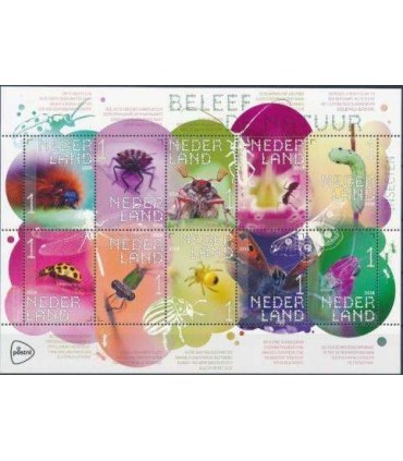 3658 - 3667 Beleef de natuur insecten (xx)
