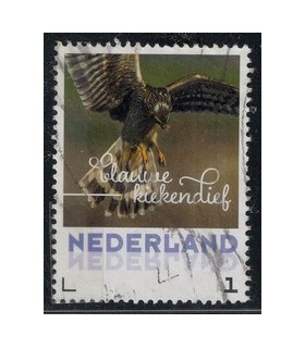 2017 Herfstvogels Blauwe Kiekendief (o)