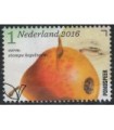 3438 Appel en perenrassen (o)