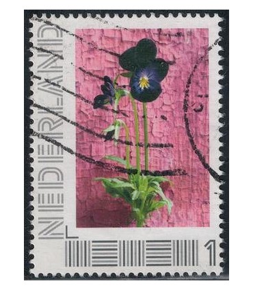 2751 B-4 Zomerlandschappen (o) 1.