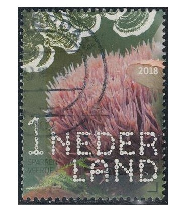 3684 Beleef de natuur Sparrenveertje (o)