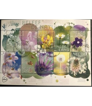 3632 - 3641 Beleef de natuur veldbloemen (o)