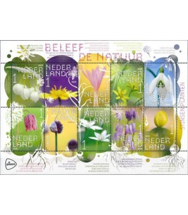 3726 - 3735 Beleef de natuur Stinsenplanten (xx)