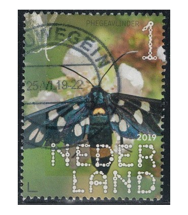 3758 Beleef de natuur Phegeavlinder (o)