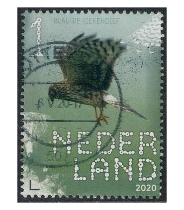 3818 Beleef de natuur Kiekendief (o)
