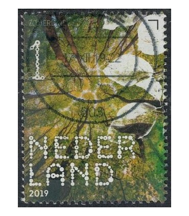 3777 Beleef de natuur zomerlinde (o)