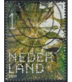 3777 Beleef de natuur zomerlinde (o)