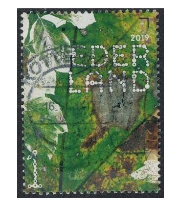 3778 Beleef de natuur herfstblad (o)