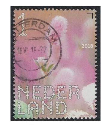 3633 Beleef de natuur HazenPootje (o)