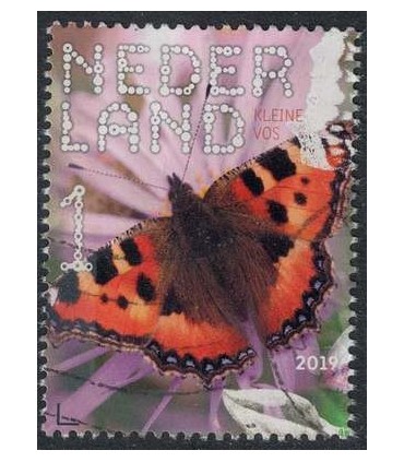 3752 Beleef de natuur Kleine Vos (o)