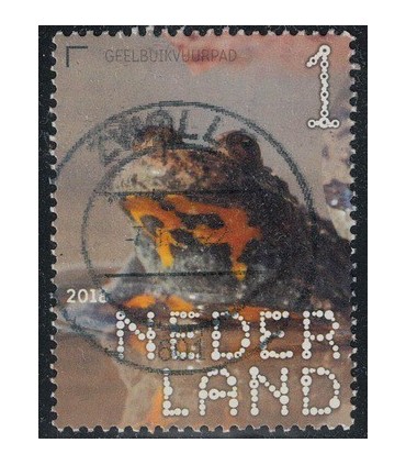 3606 Beleef de natuur Geelbuikvuurpad (o)