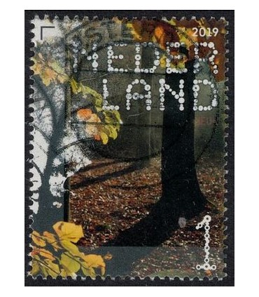 3776 Beleef de natuur beuk (o)