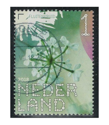 3632 Beleef de natuur Fluitenkruid (o)
