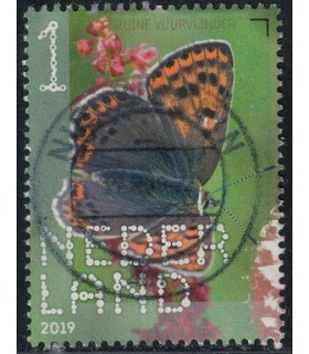3754 Beleef de natuur Vuurvlinder (o)