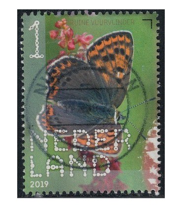 3754 Beleef de natuur Vuurvlinder (o)