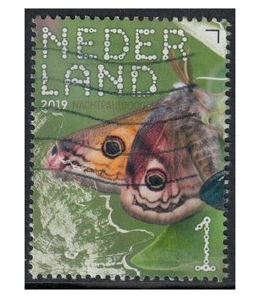 3757 Beleef de natuur nachtpauwoog (o)