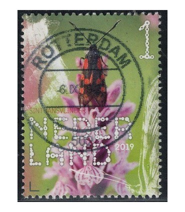 3756 Beleef de natuur Sint-Jansvlinder (o)