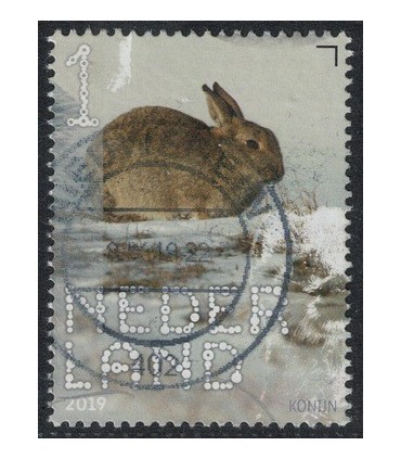 3720 Beleef de natuur Konijnen (o)