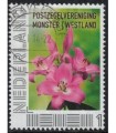 Postzegelvereniging Monster Westland (o) 2.