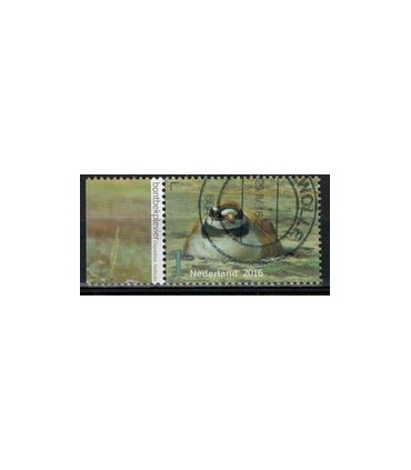 3407 Griend Bontbekplevier (o) TAB