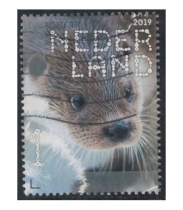 3717 Beleef de natuur Otter (o)