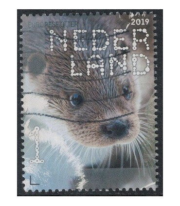 3717 Beleef de natuur Otter (o)