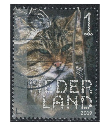 3711 Beleef de natuur de Wilde Kat (o)