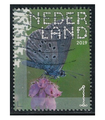 3749 Beleef de natuur blauwtje (o)