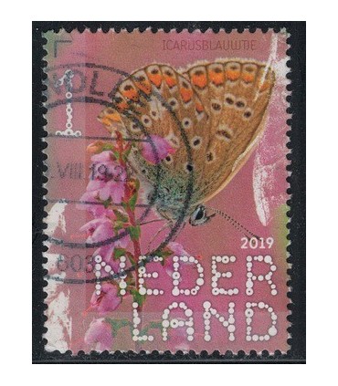 3755 Beleef de natuur Icarusblauwtje (o)