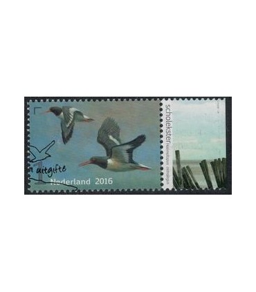 3402 Griend Scholekster (o) TAB