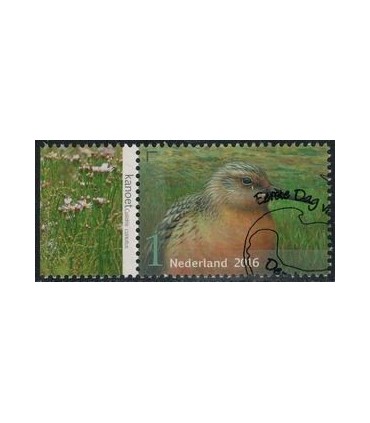 3409 Griend Kanoet (o) TAB
