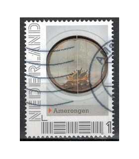 Buitenplaatsen Amerongen (o) 