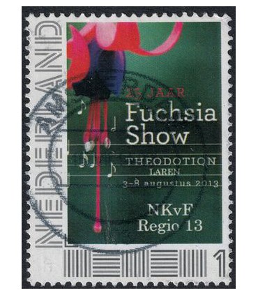 Fuchsia Show (o)