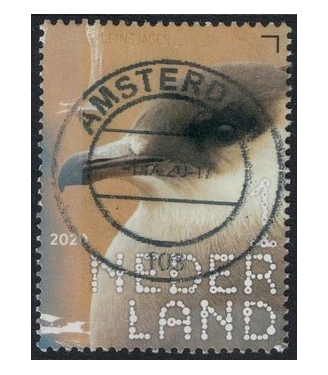 3850 Beleef de natuur kleine jager (o)