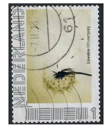 Monuta livestra (o) 2.