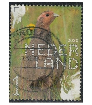 3829 Beleef de natuur Patrijs (o)