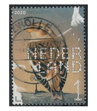 3852 Beleef de natuur SneeuwSchors (o)