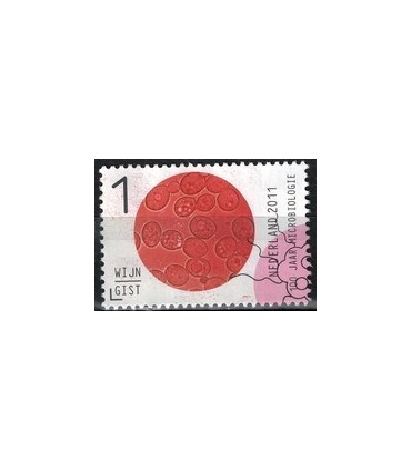 2834 Microbiologie Wijn Gist 2011 (o)