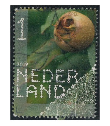 3781 Beleef de natuur Mispel  (o)