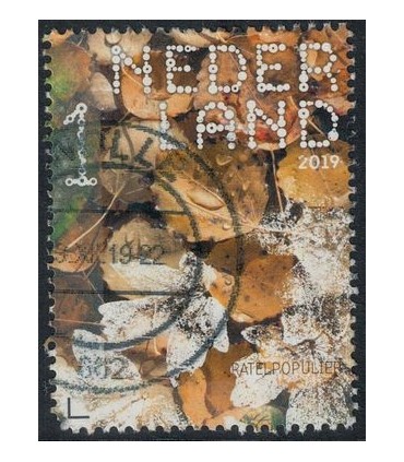 3779 Beleef de natuur ratelpopulier (o)