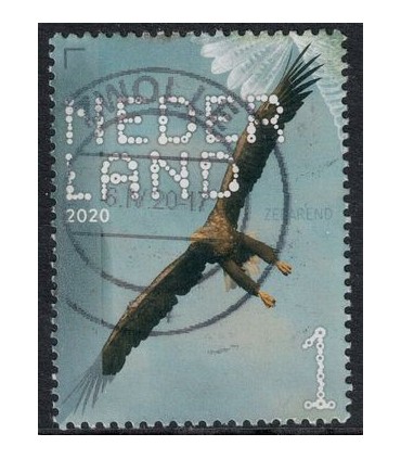 3821 Beleef de natuur Zeearend (o)