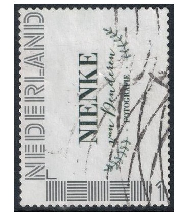 Nienke van Denderen (o)