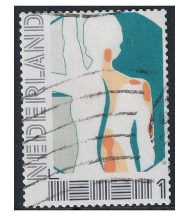 Lichaam achterkant (o)