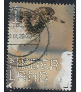 3851 Beleef de natuur Steenloper (o)