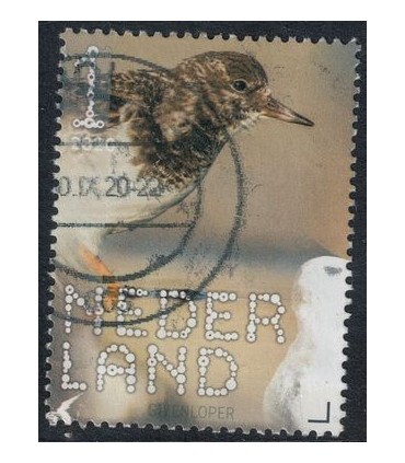 3851 Beleef de natuur Steenloper (o)