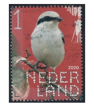 3871 Beleef de natuur klapekster (o)