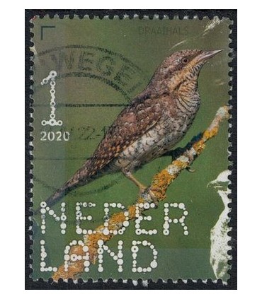 3873 Beleef de natuur draaihals (o)